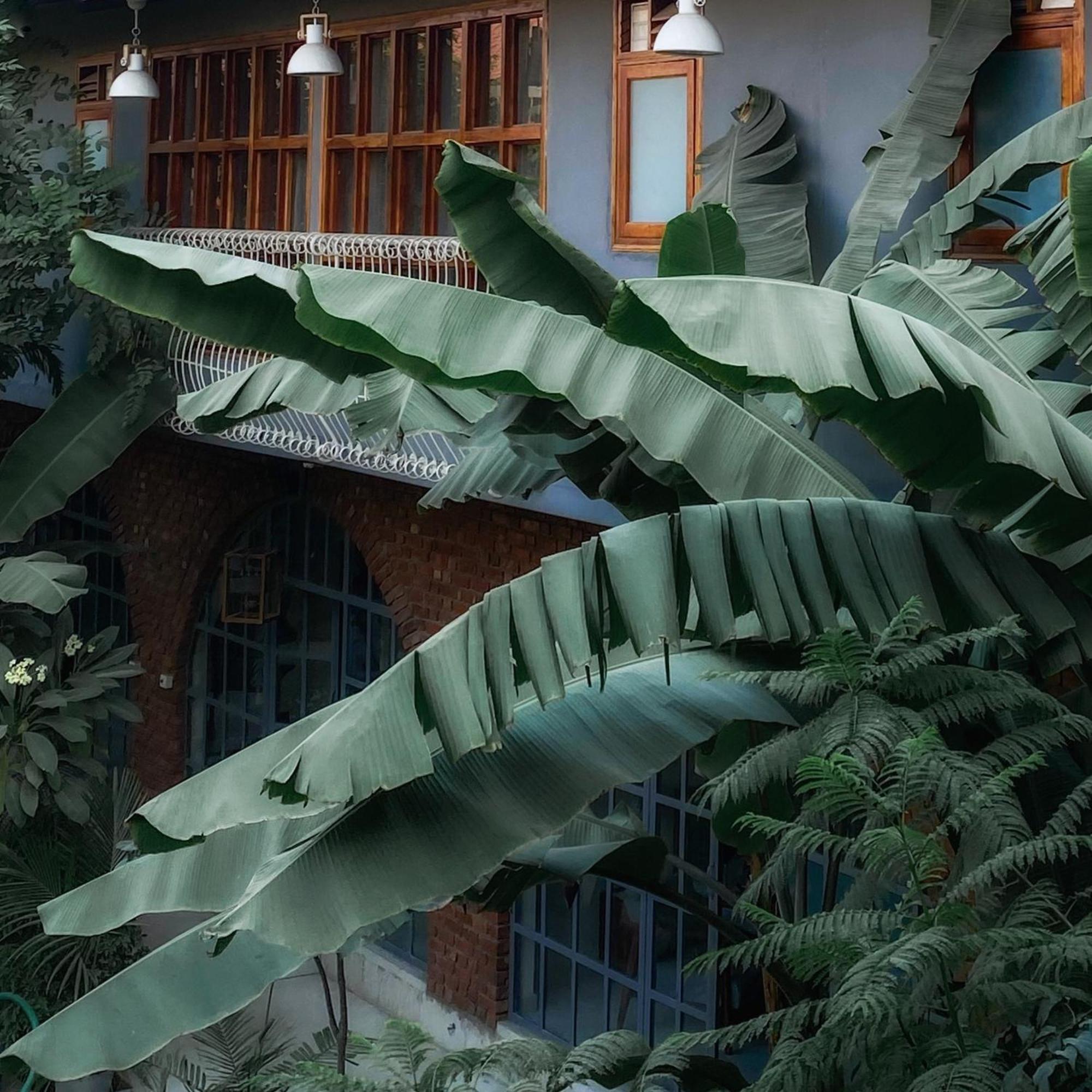 The Artist House Udaipur Otel Dış mekan fotoğraf